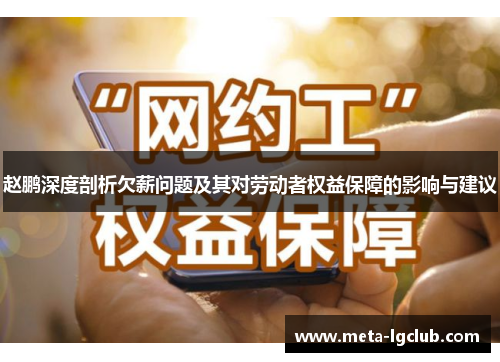 赵鹏深度剖析欠薪问题及其对劳动者权益保障的影响与建议