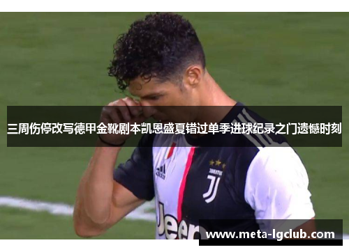 三周伤停改写德甲金靴剧本凯恩盛夏错过单季进球纪录之门遗憾时刻